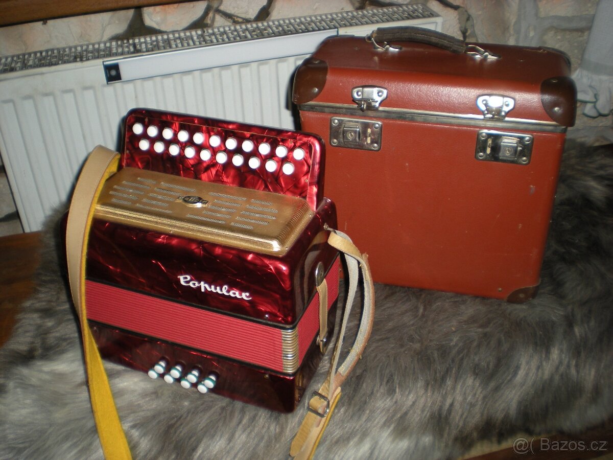 Harmonika Delicia Popular - 6