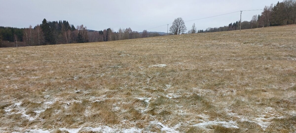 Prodám zemědělský Pozemek. - 6