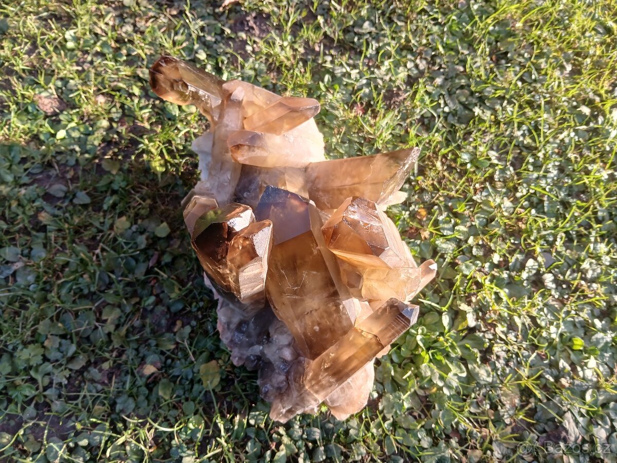 Citrin , velká drůza 6kg - 6