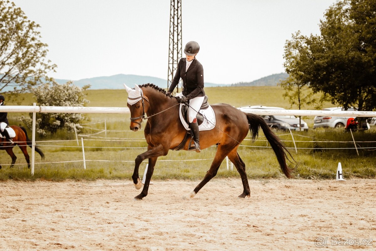 Pastevní ustájení Kočvary - 6