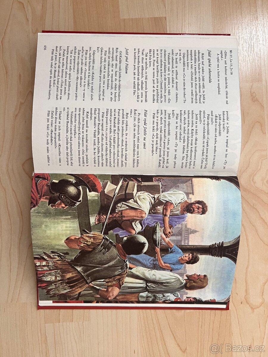 Ilustrovaná Bible pro mládež - 6