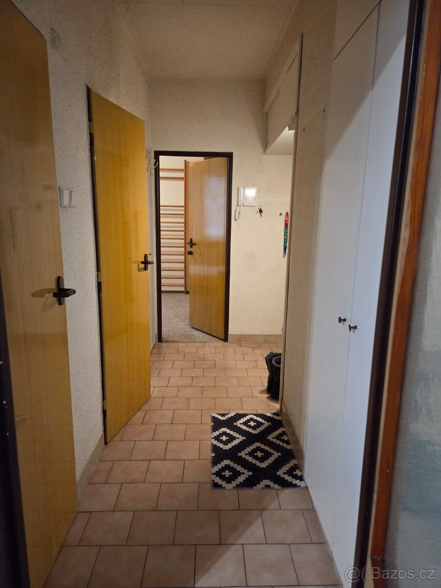 Pronájem byt 2+1 - 6