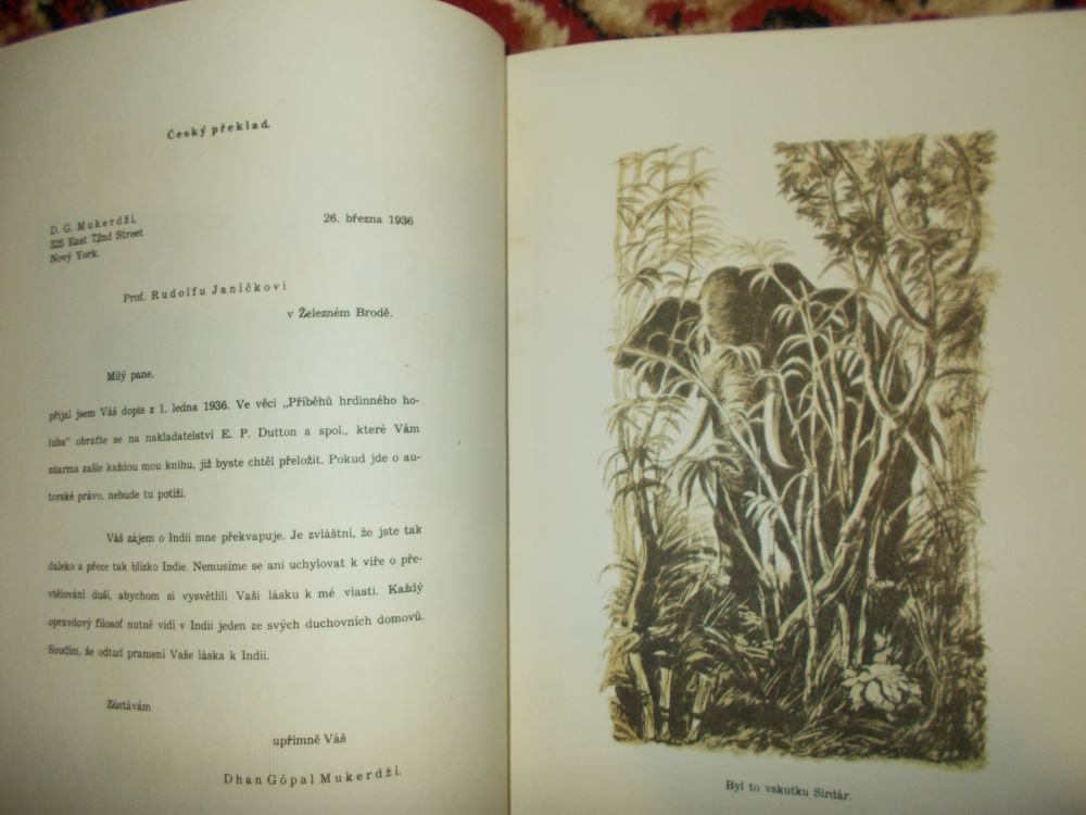 Vůdce stáda kniha r. 1929 - 6