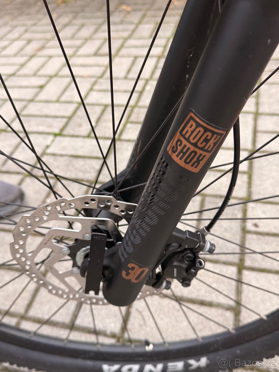 Kolo scott scale - 6