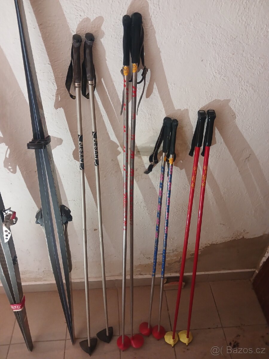 Běžky Artis Polar - 6