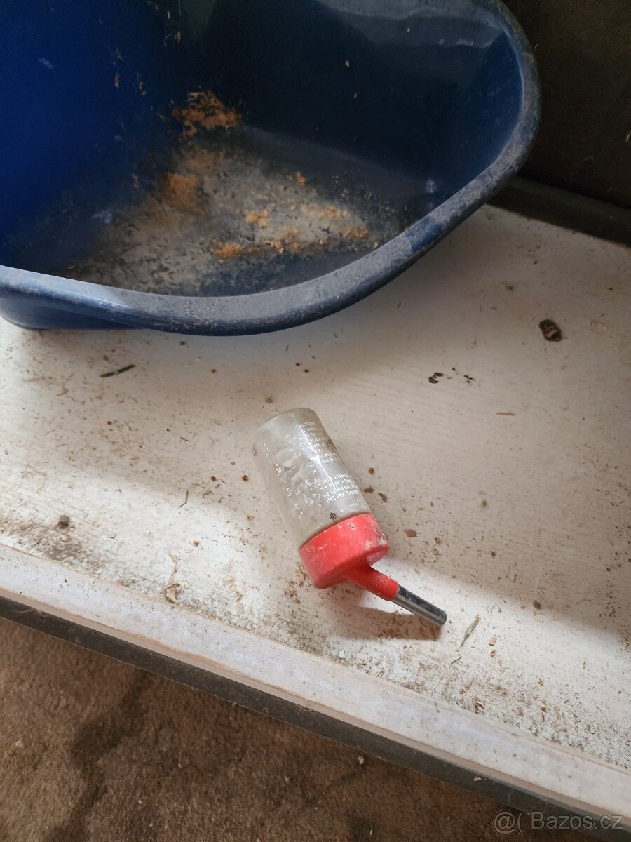 Králíka a partova - 6