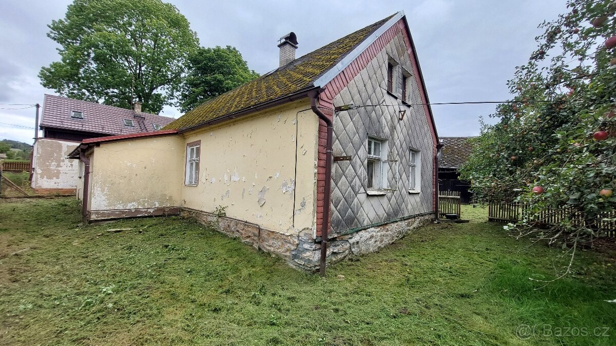 Dům + stodola + zahrada Dešenice 1322 m2 - 6