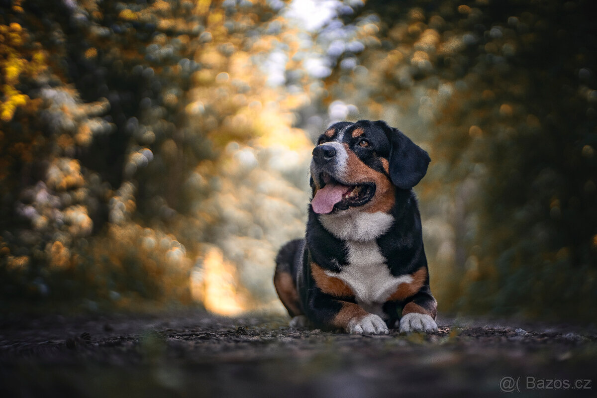 Meopta Meostigmat 60/1,7 Sony E a další - 6