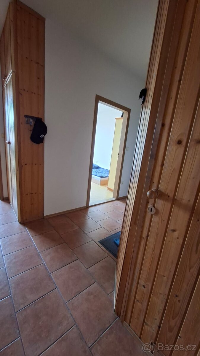 Pronájem bytu 2+1 Hodonín - 6