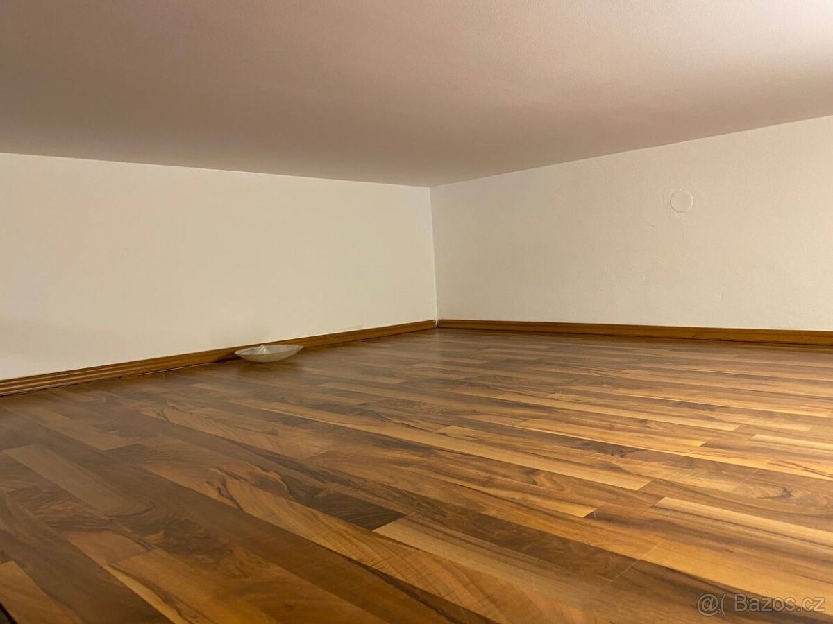 Pronájem bytu od prosince 1 kk Praha 9 Vysočany - 6