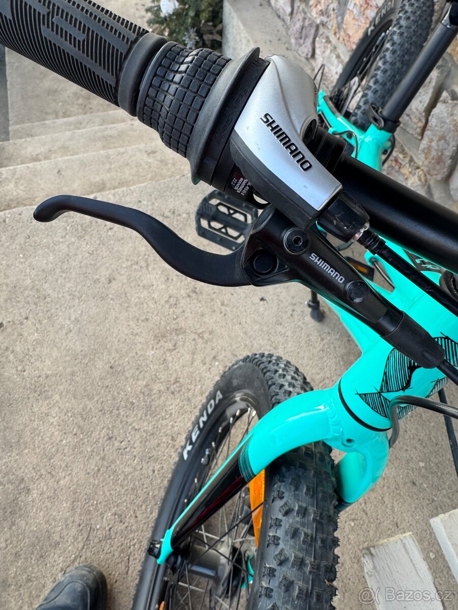 Scott Roxter 20” - 6