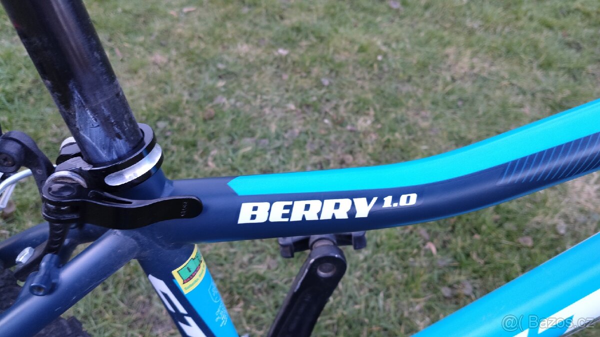 Dětské kolo CTM BERRY 1.0 24 " - 6