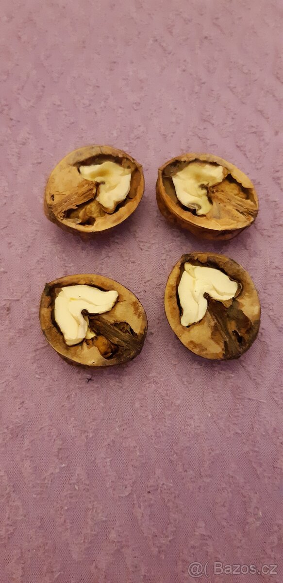 VLAŠSKÉ OŘECHY. - 6