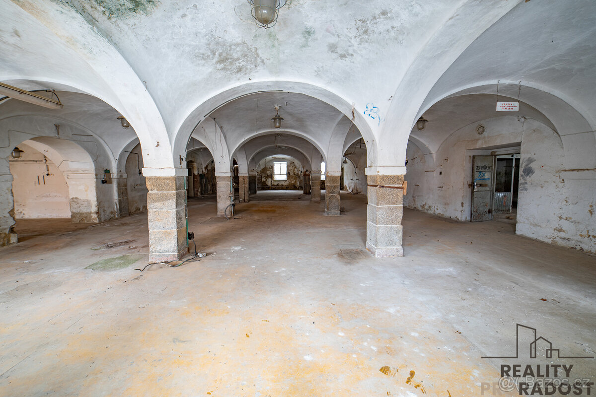 Prodej obchodního prostoru 1906 m2, Chudenice - 6