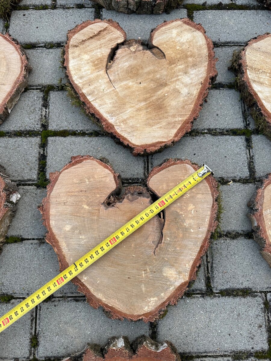 Držák jmenovek bříza - 6