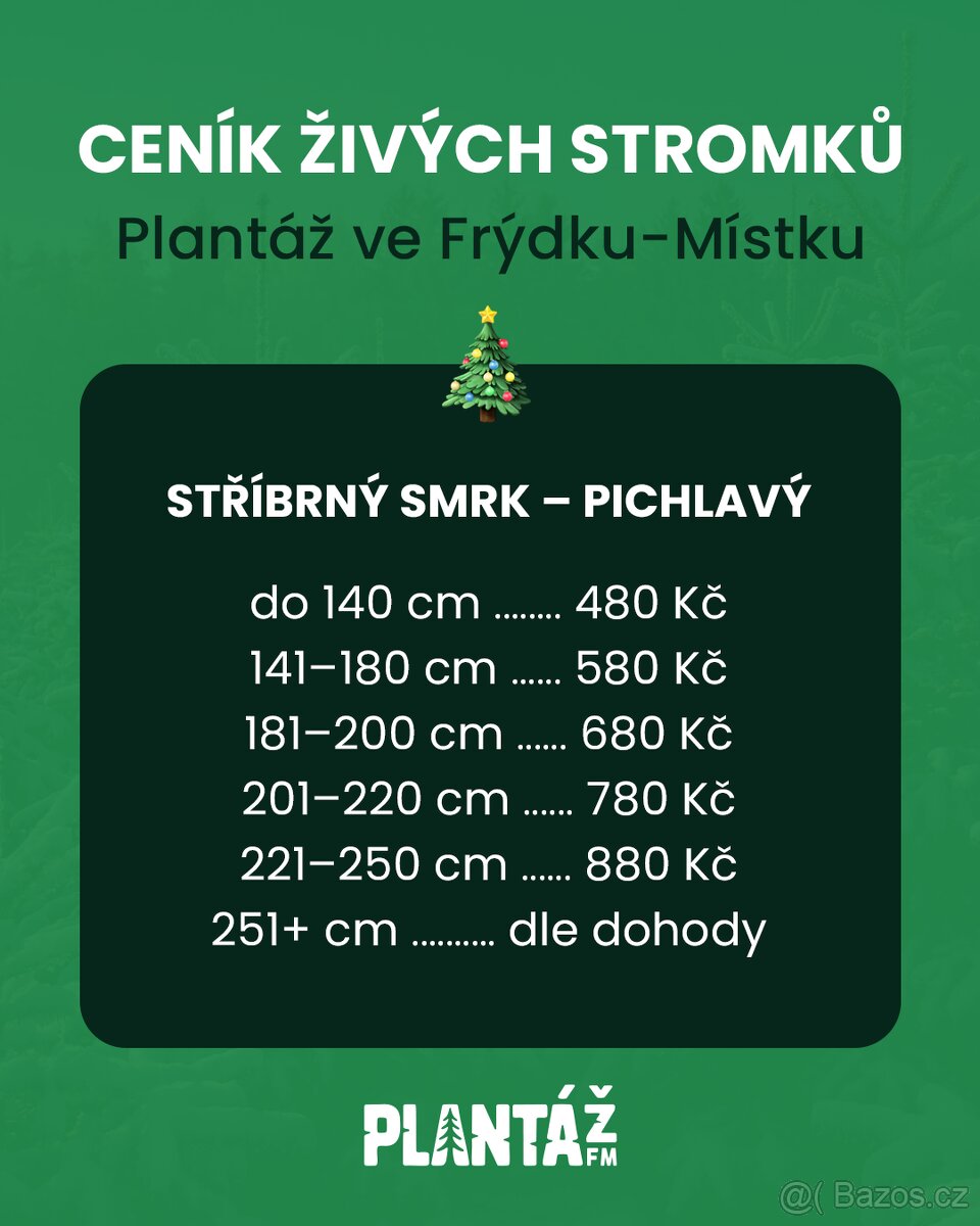 Vánoční stromky přímo z plantáže F-M - 6