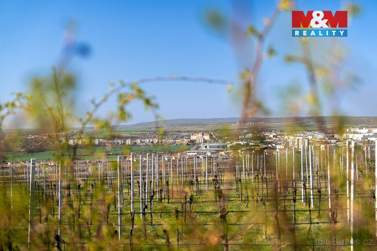 Prodej zahrady, 2462 m², Dobšice u Znojma - 6