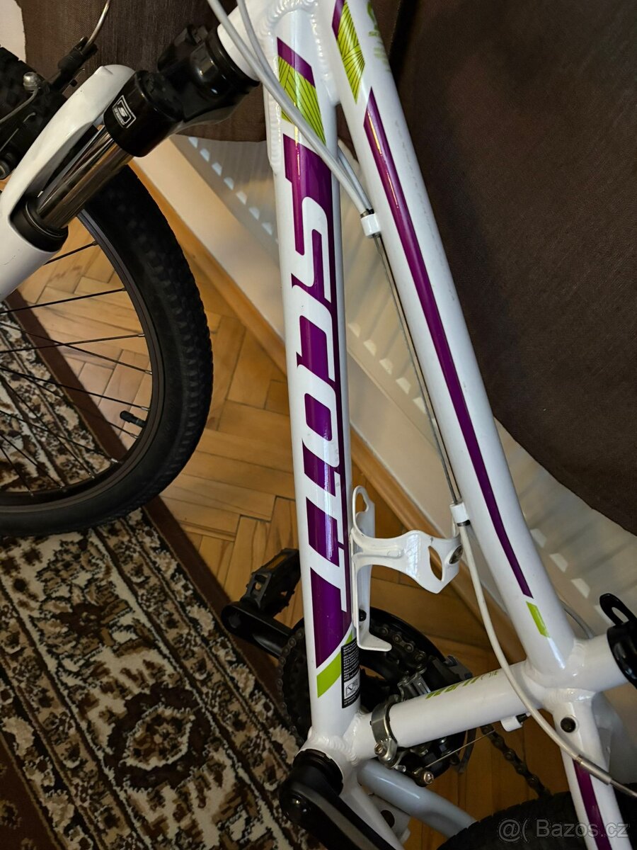 Scott Contessa - 6