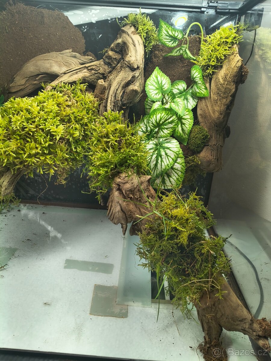 Terarium 60x45x45 - 6