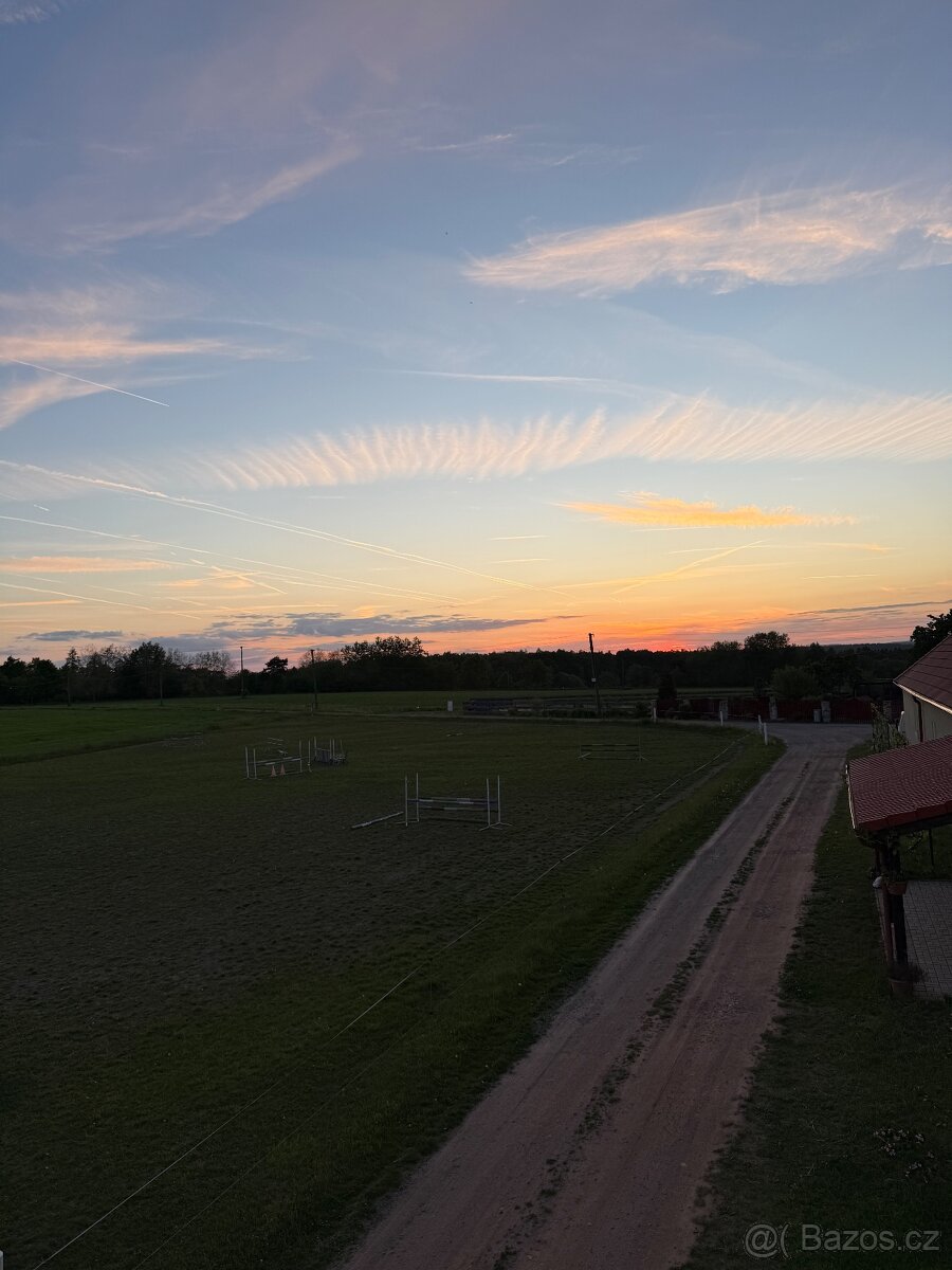 Ustájení - 6