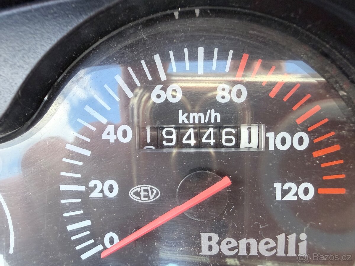 Benelli 491 RR - 6