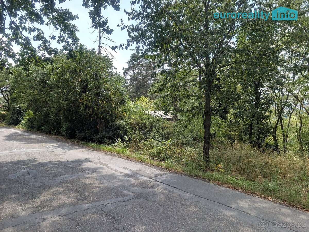 Prodej, chata, 468 m2, Koterov - 6