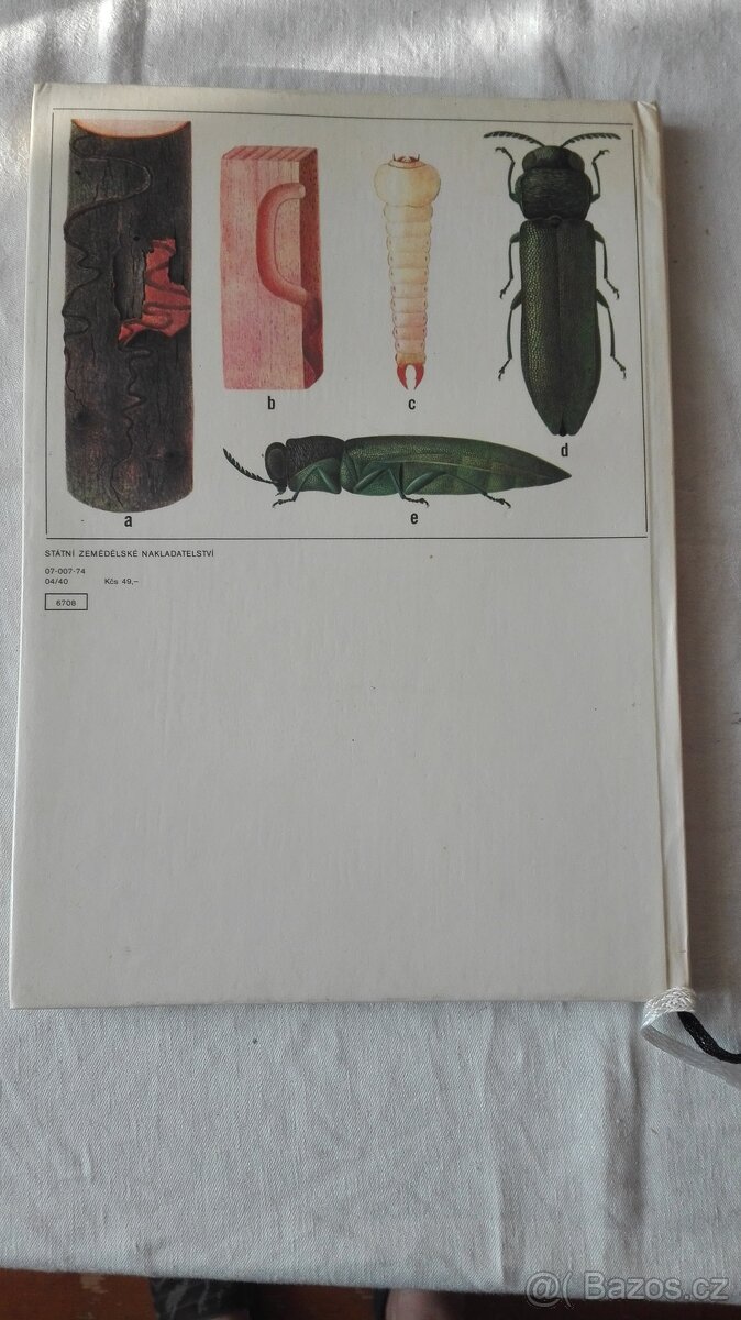 Atlas hmyzích škůdců lesních dřevin - 6