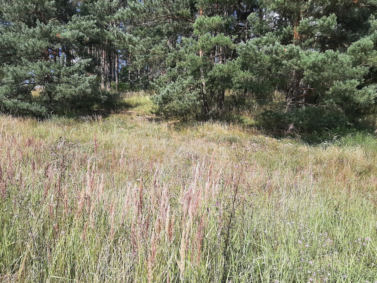 Stavební pozemek 1365m2 u přehrady Orlík - 6