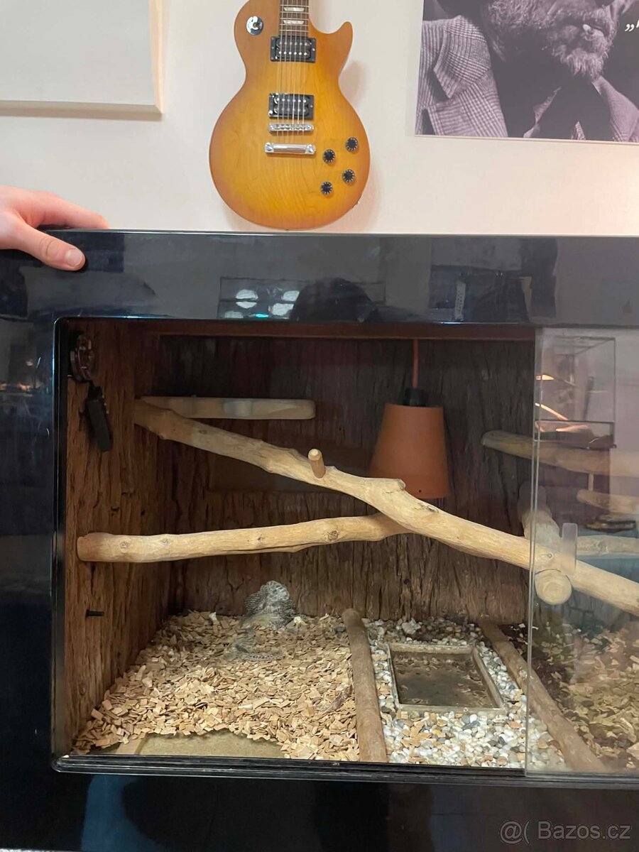 TERÁRIUM NA MÍRU 150x50x50 - 6