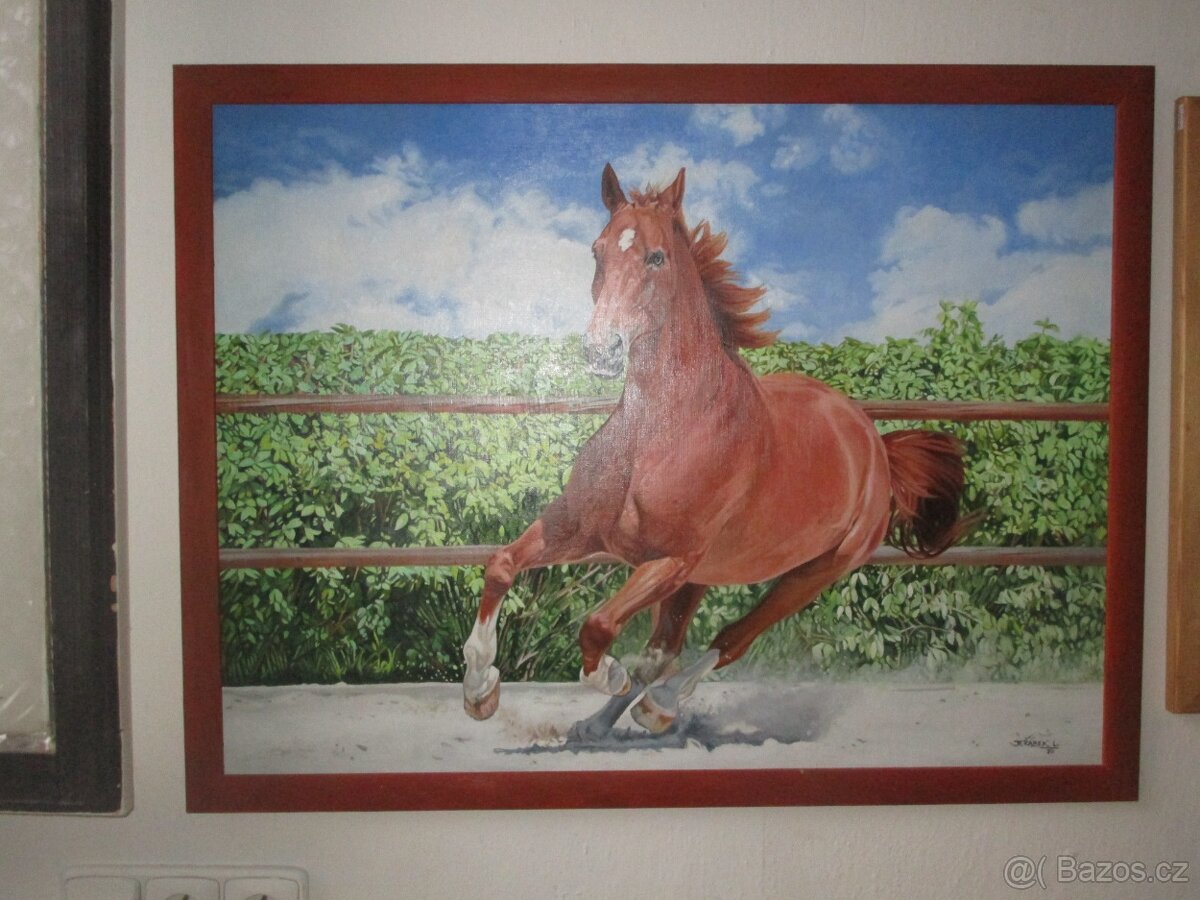 koně-ručně malované obrazy-olejomalba-akvarel - 6