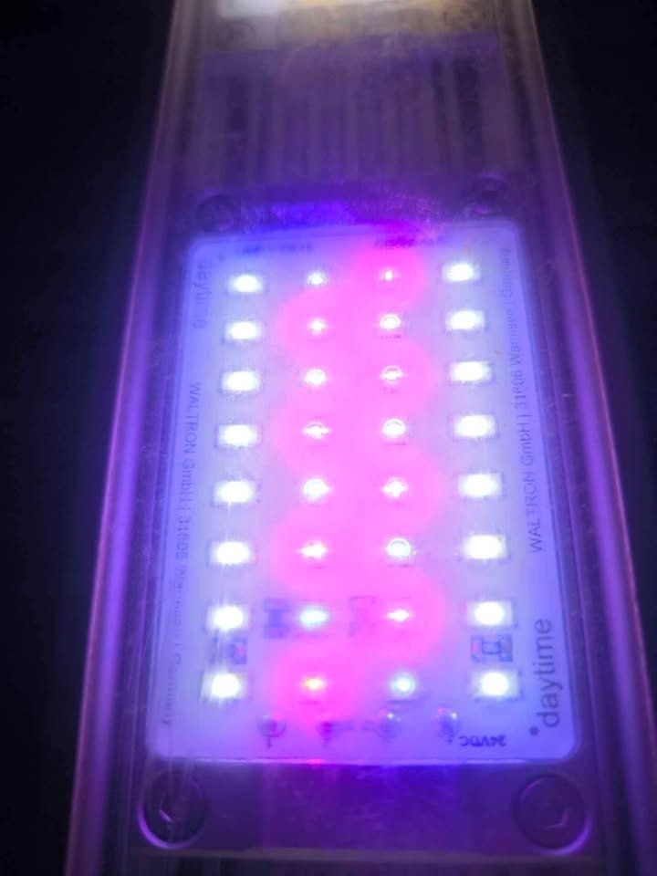Světlo akvárium Daytime Matrix kvalita - 6