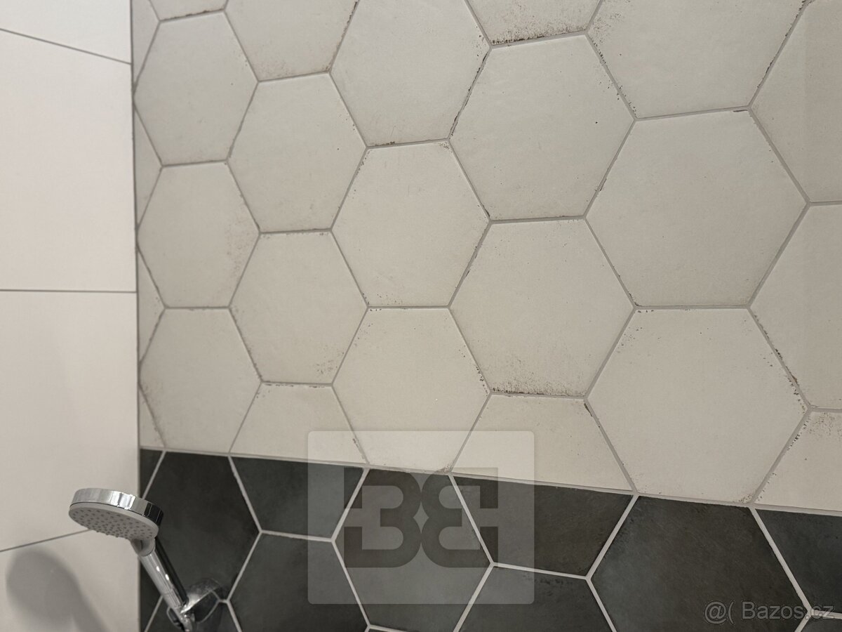 3+kk Apartment in Brno, Veveří - More
