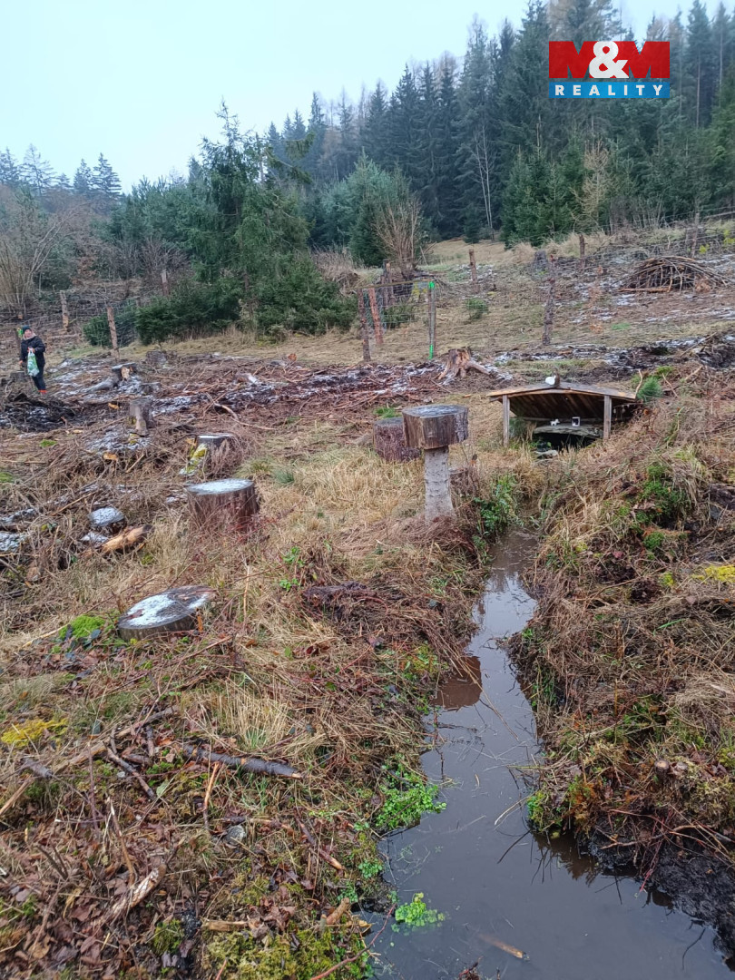 Prodej lesa, 37567 m², Vacovice - 6