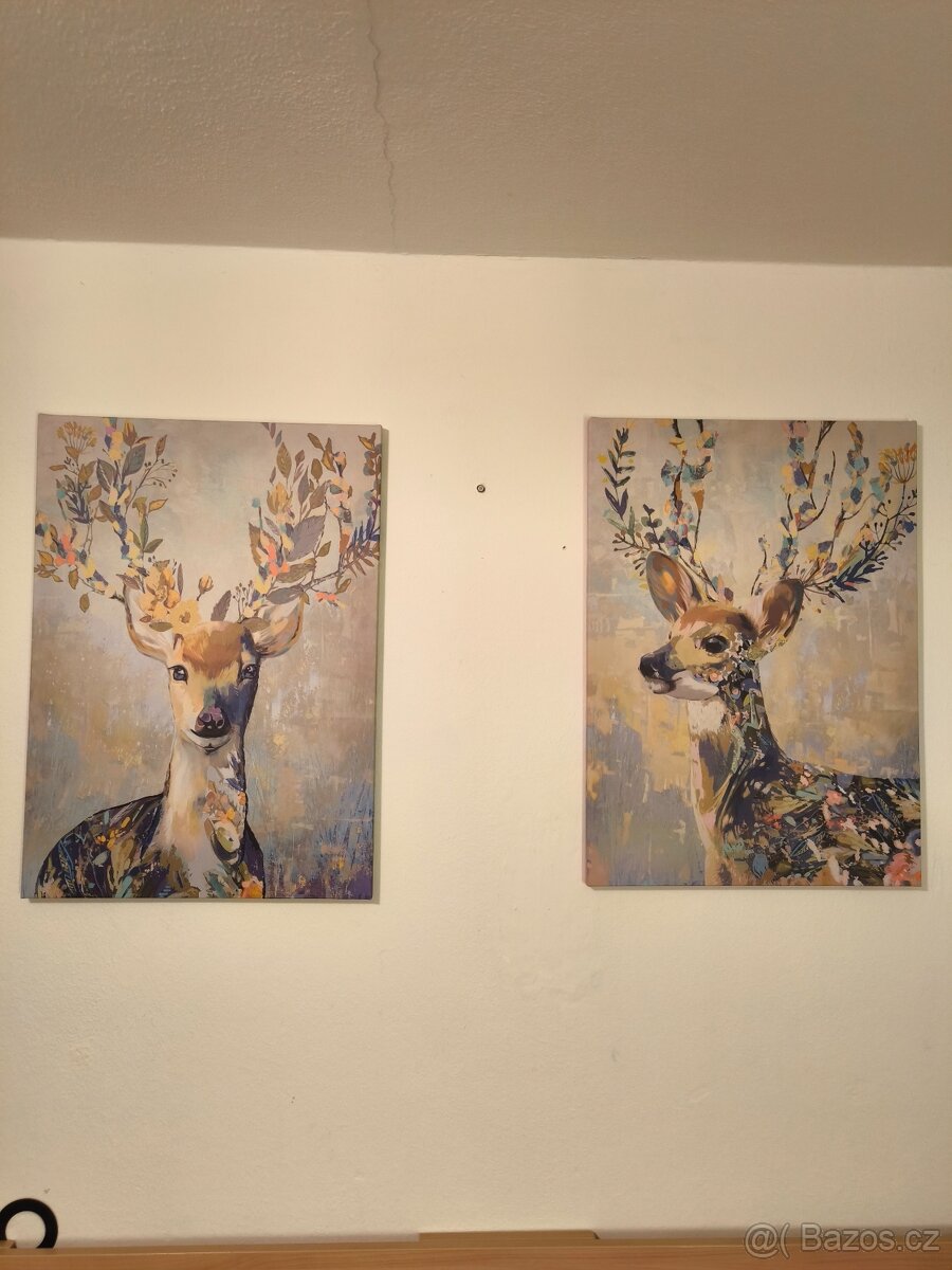 Obraz /y z IKEA barevný sob - 6