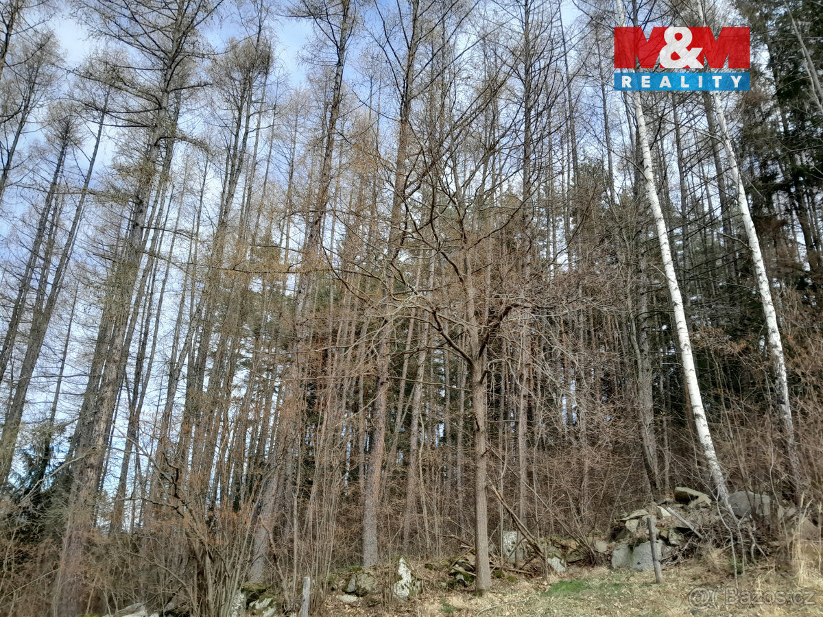 Prodej lesa, 5083 m², Zálezly - Setěchovice - 6