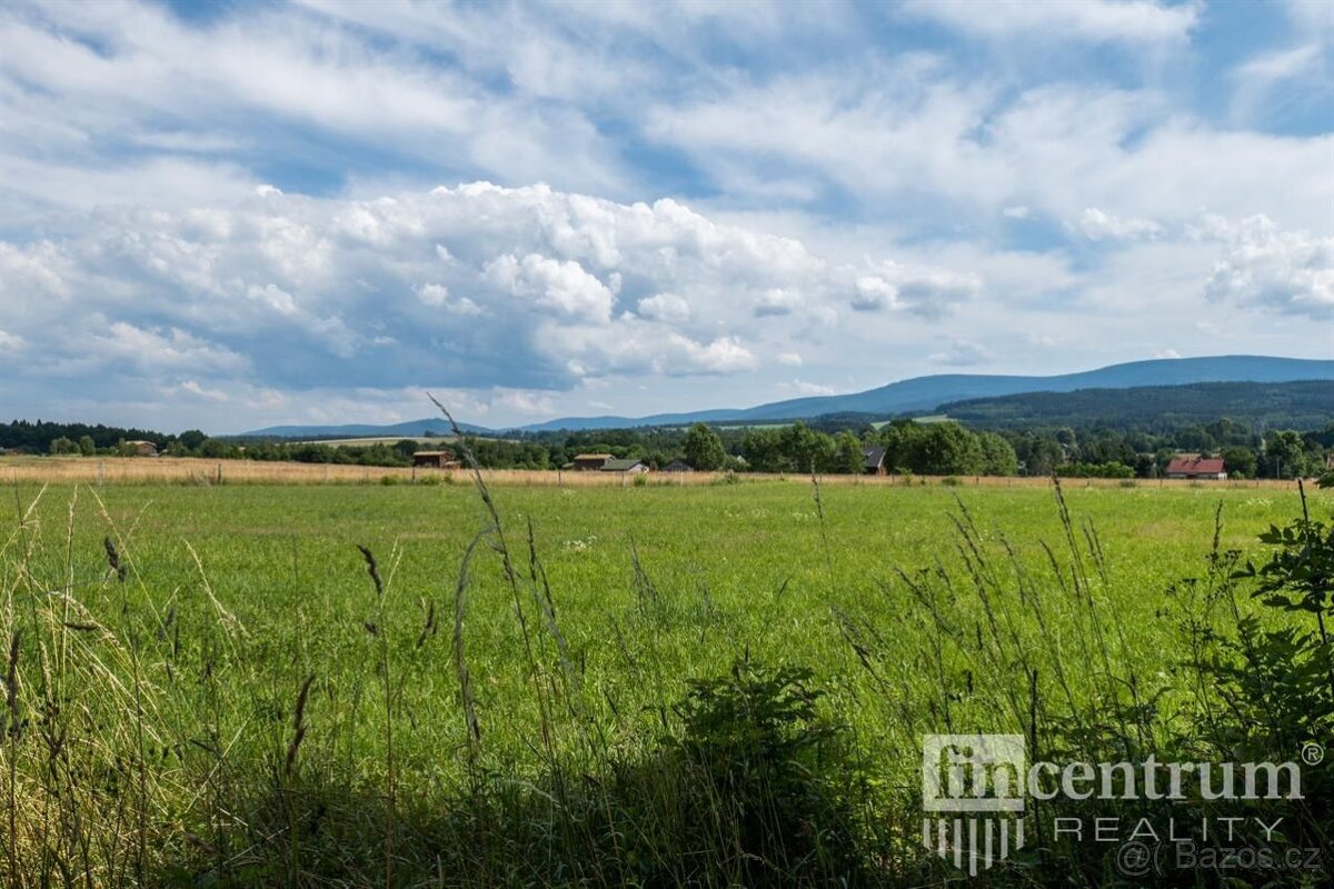 Prodej louky 53774 m2, Jindřichovice pod Smrkem - 6