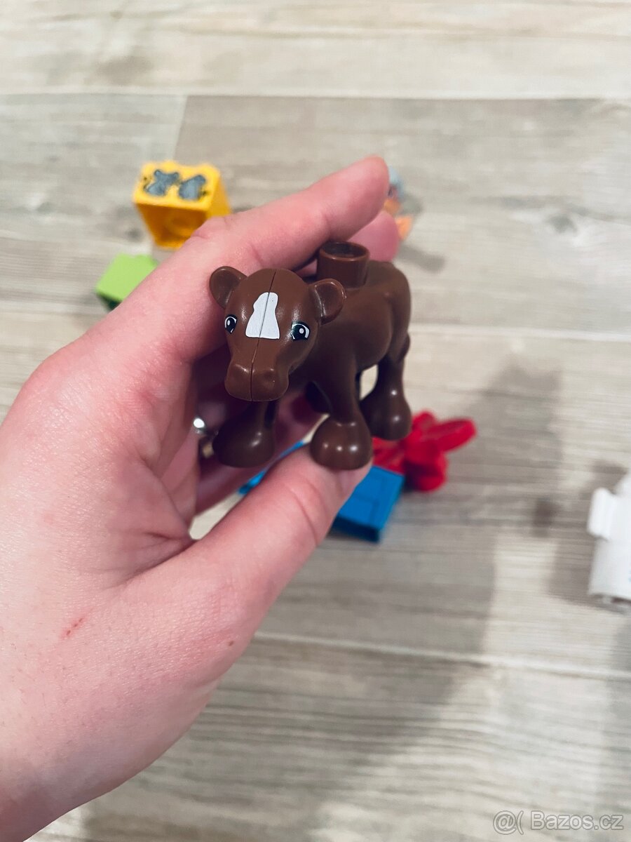 Lego Duplo 10521 babička s telátkem - 6