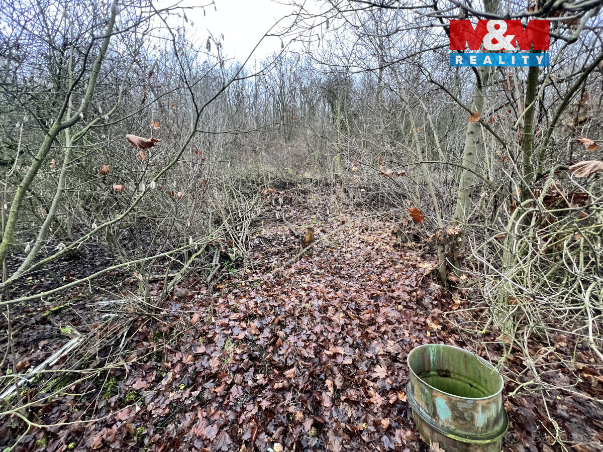 Prodej pozemku k bydlení, 1101 m², Bílina - 6