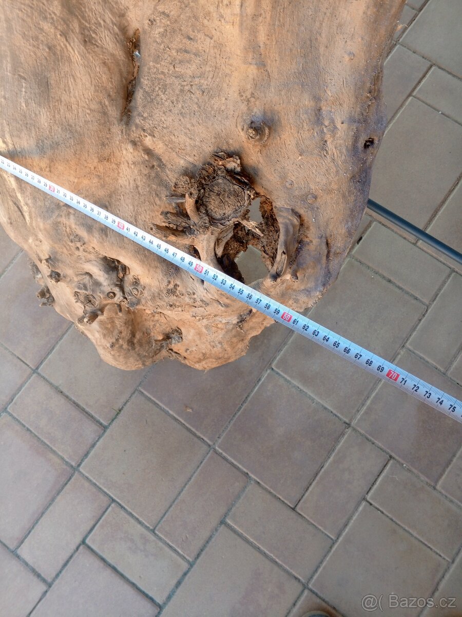 Topolové skořepiny - 6