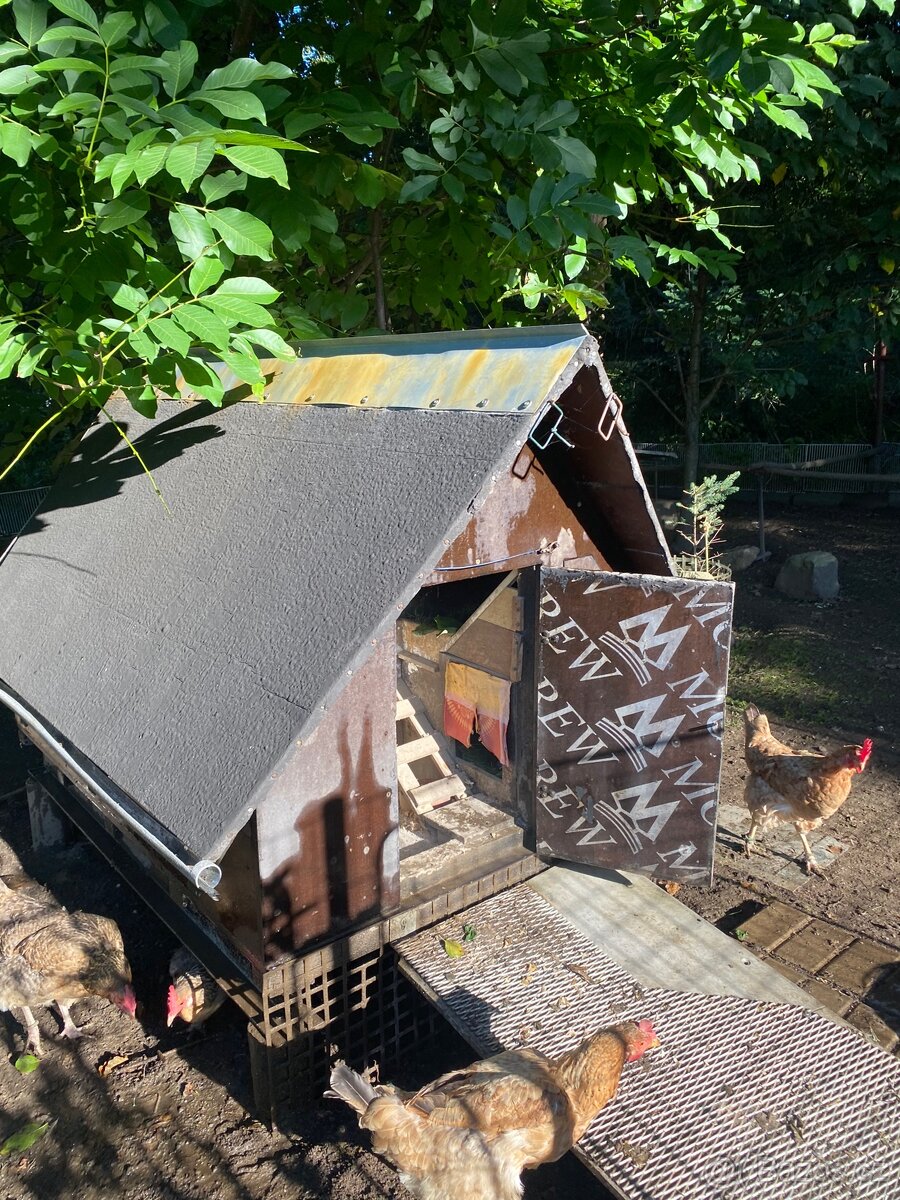 Prodám slepičí kurník - 6