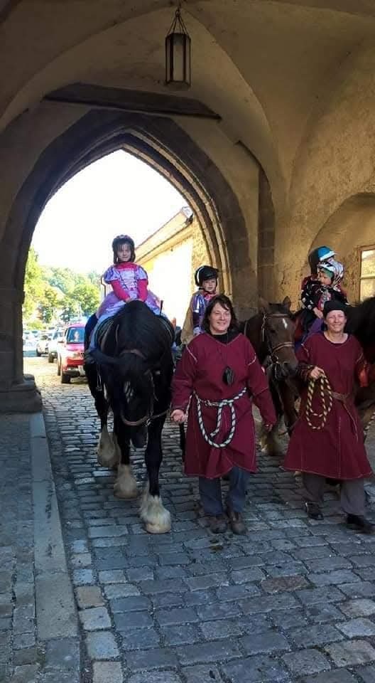 Shire horse hřebec - 6