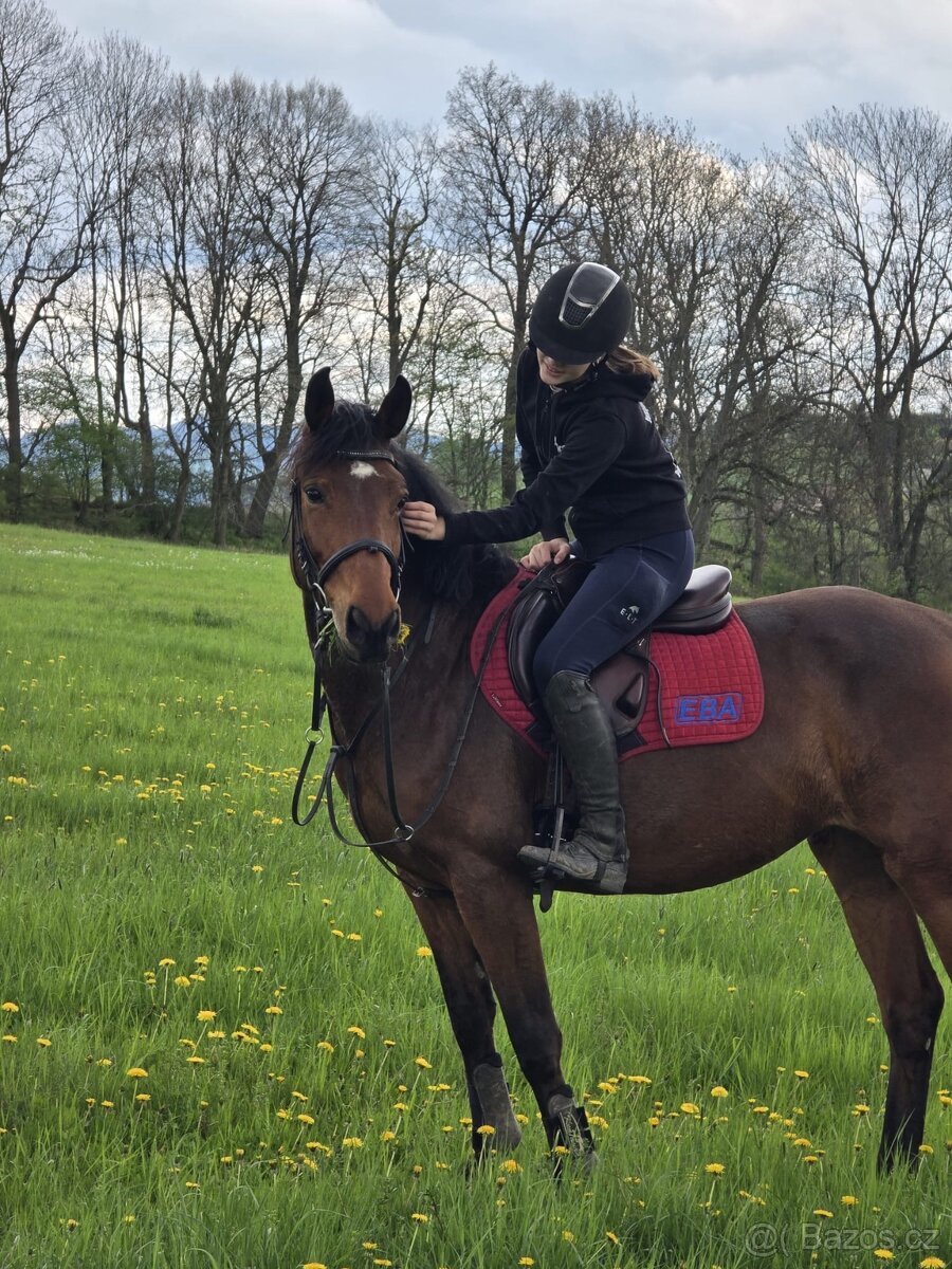 Parkurová klisna pro ambiciózního juniora - 6