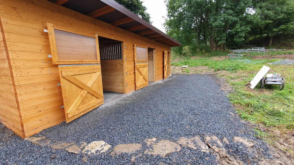 Pastevní ustájení v ráji i pro DUŠNÉ koně PRAHA 35 minut - 6