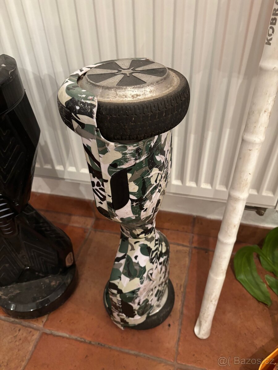 Prodám 3 sagweje - 6