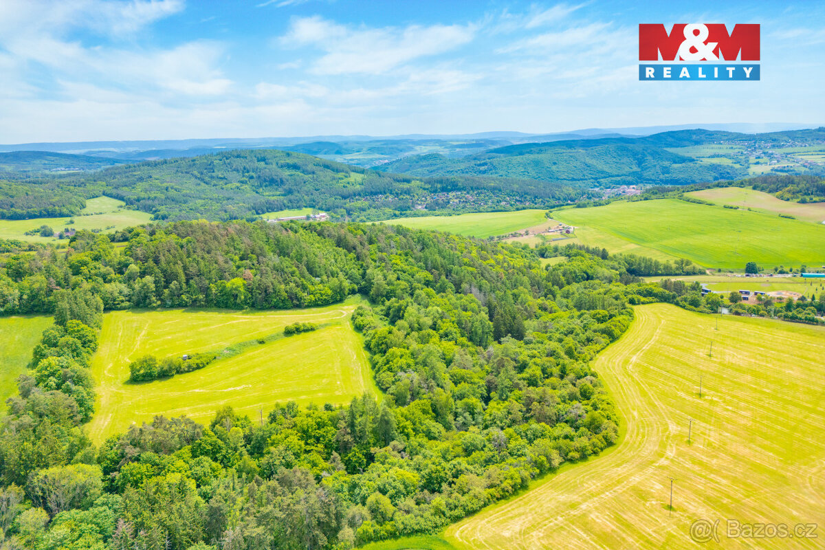 Prodej lesa, 2518 m², Chyňava - 6