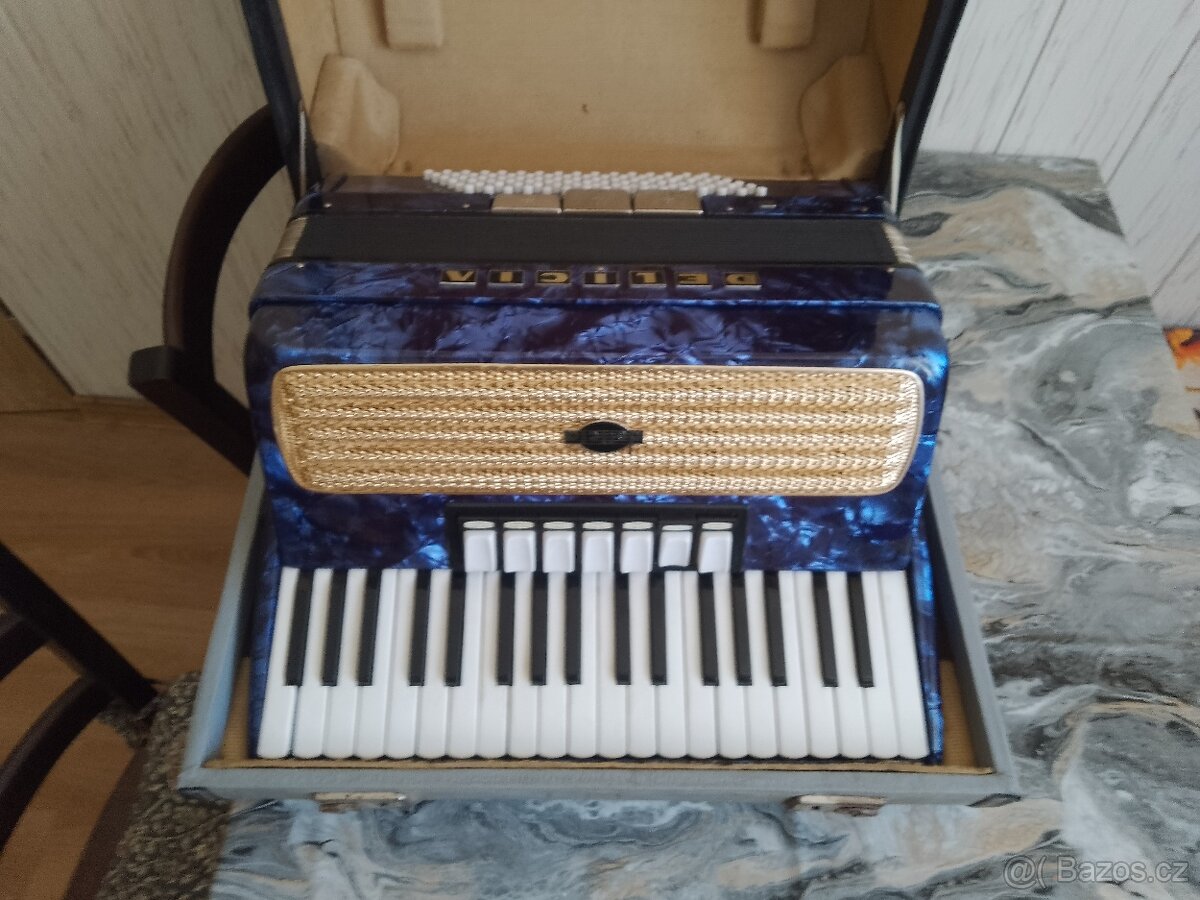 Harmonika Delicia - 6