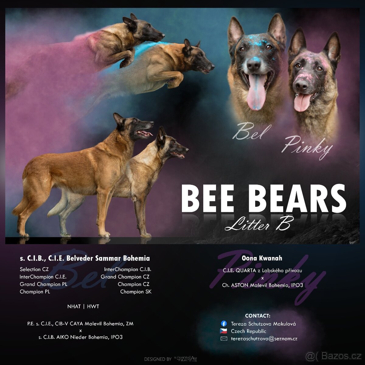 Belgický ovčák malinois s PP - 6