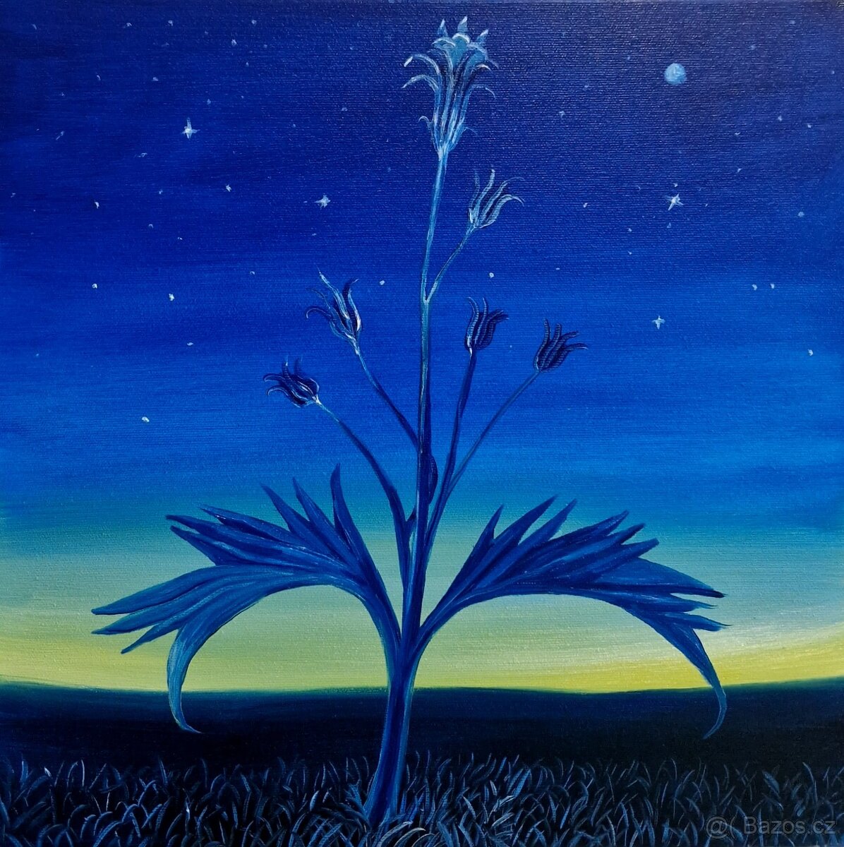 Klára Sedlo olejomalba - 6