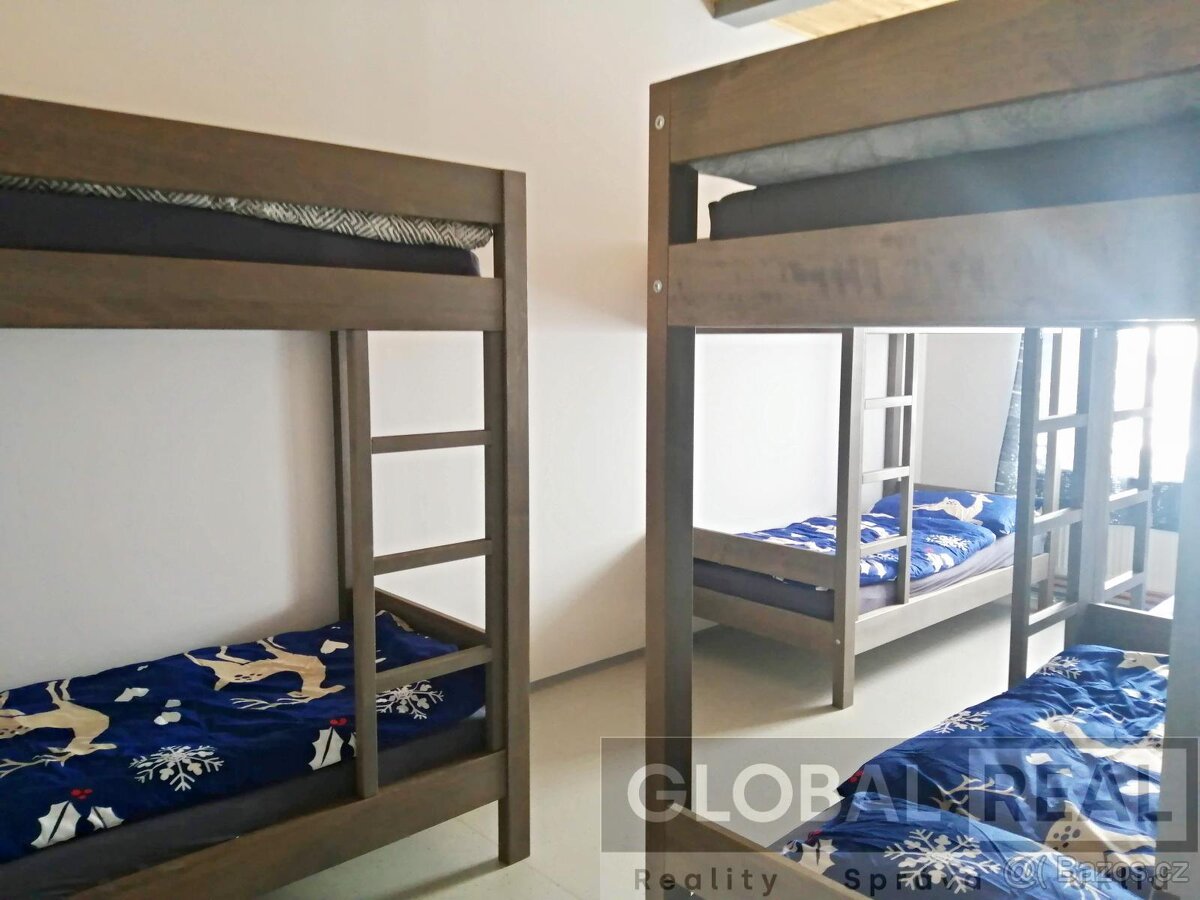 Pronájem ubytovacího zařízení v Pavlínově u Měřína - 6