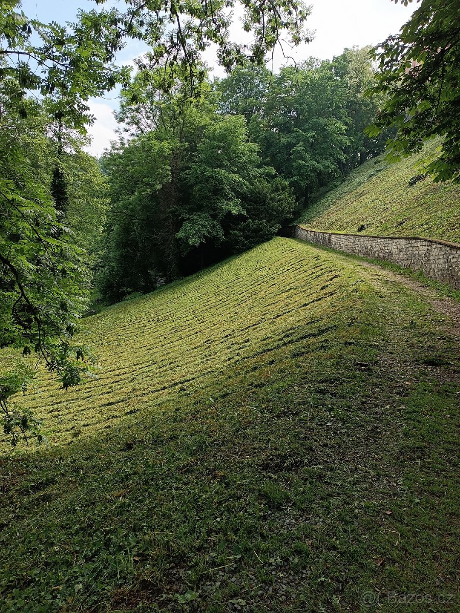 Sečení, mulčování trávy - 6